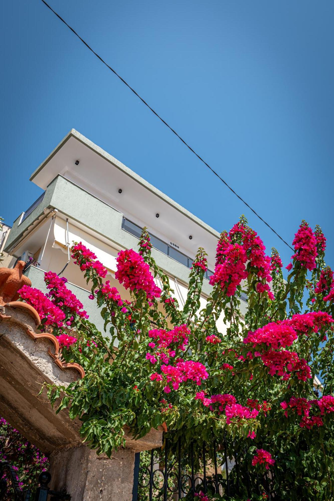 סרנדה Euphoria Apartments מראה חיצוני תמונה