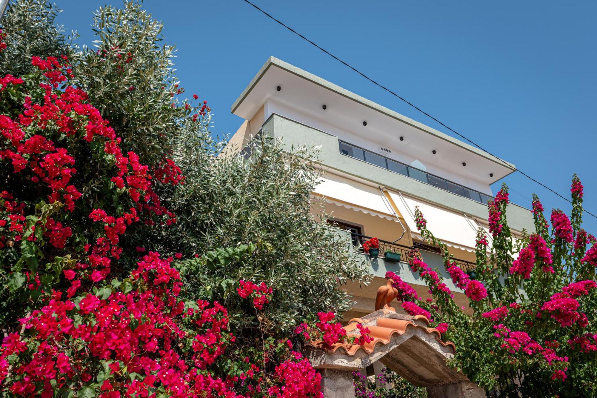 סרנדה Euphoria Apartments מראה חיצוני תמונה